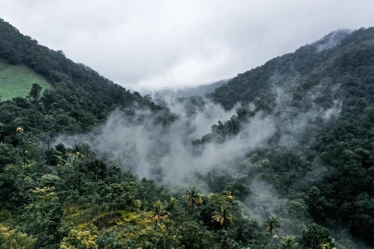 Holistic Stay Eco-Resort & Ayurvedic Retreat Paithalmala