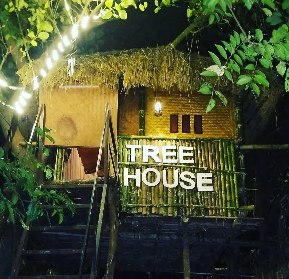 Holistic Stay Eco-Resort & Ayurvedic Retreat Paithalmala Hotel