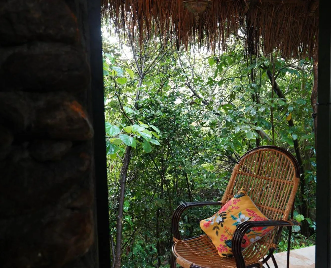Hotel Holistic Stay Eco-Resort & Ayurvedic Retreat Paithalmala