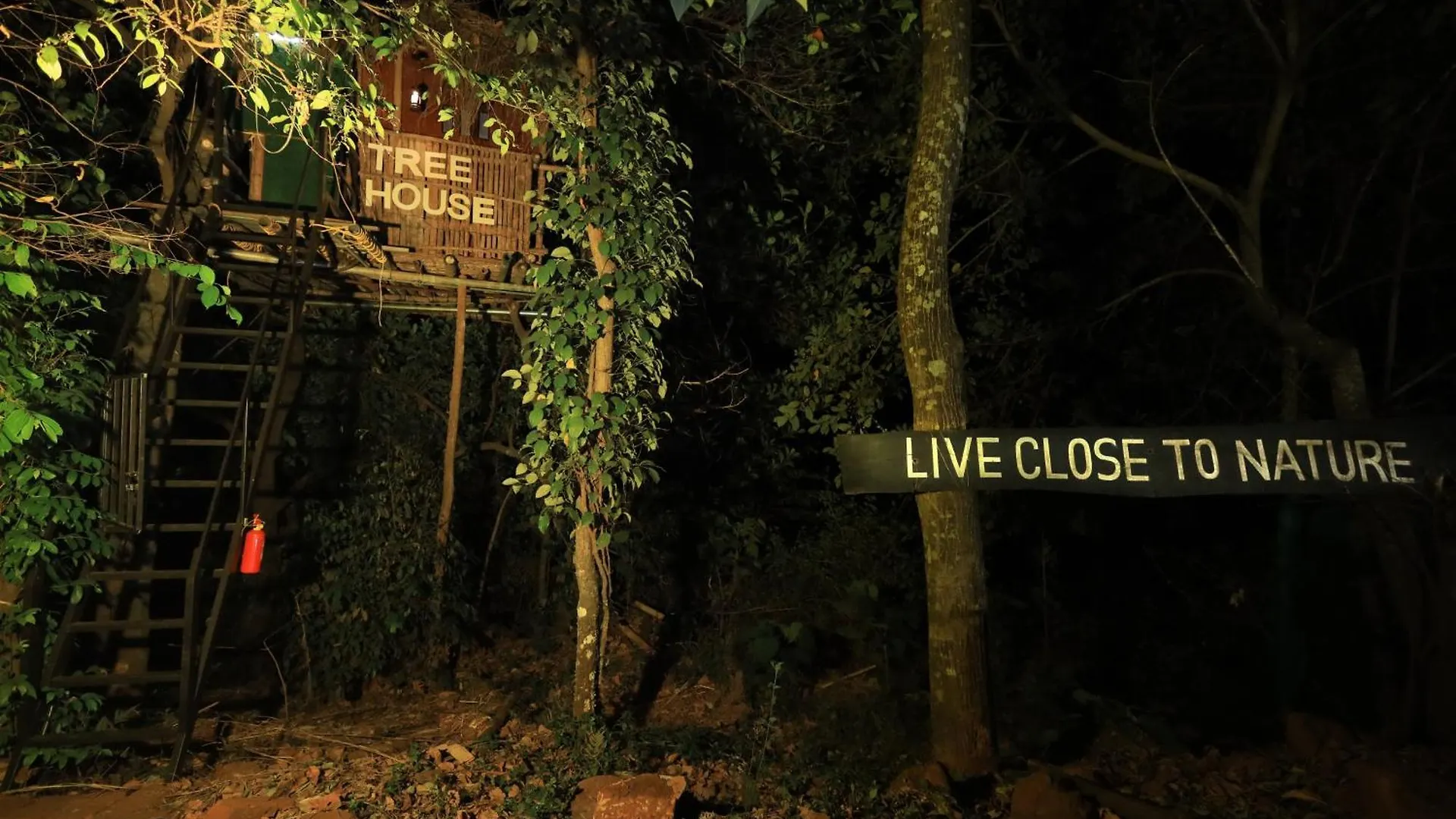 Holistic Stay Eco-Resort & Ayurvedic Retreat Paithalmala India